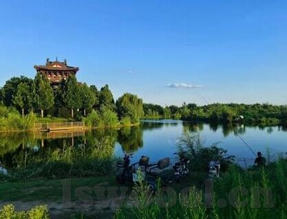 国产av麻豆精选-不以刻板的用词作为开头，我们尝试一种更流畅的叙事方式来探讨这个话题