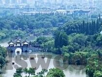 麻豆传媒女艺人排名-麻豆传媒女艺人之光，形象与实力的双维审视