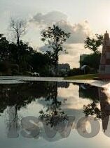 麻豆短视频app官网地址-社区氛围——凝聚千万凝视的线上聚点