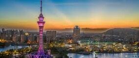 糖心app直播下载官网-探寻直播新境界，糖心APP直播的精彩与下载指南
