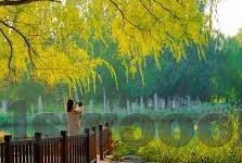 糖心出品官网-糖心出品官网，深度探索创意与品质并行的数字娱乐新境界