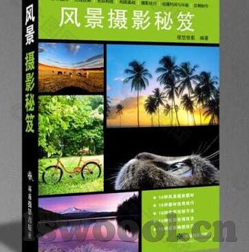 vlogcom糖心官网免费进入-探索多元化内容平台，Vlogcom 糖心官网免费进入的可能与挑战