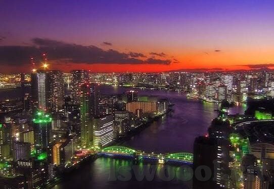 最近中文字幕免费mv视频-探索网络视频新风尚，免费中文字幕MV视频的魅力